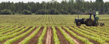 B.Sc. Agricultural Economics and Rural ...